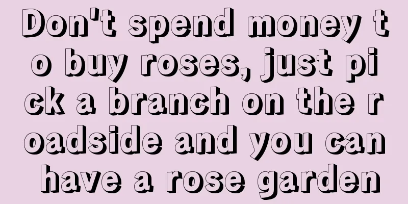 Don't spend money to buy roses, just pick a branch on the roadside and you can have a rose garden