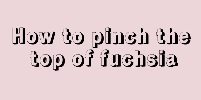 How to pinch the top of fuchsia