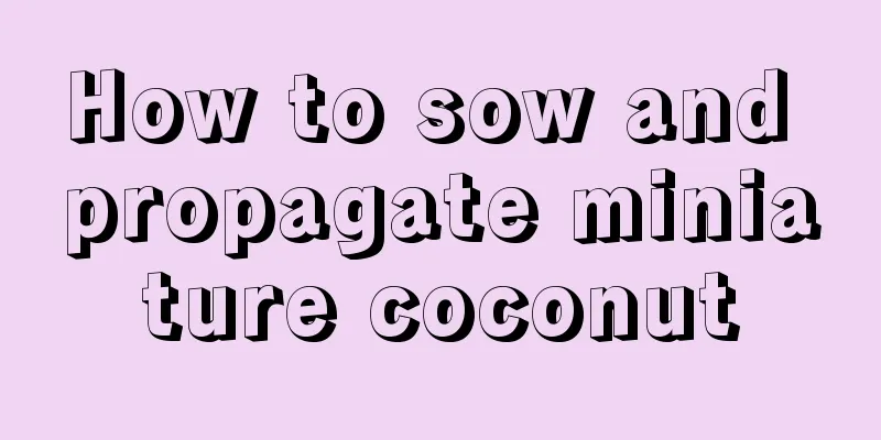 How to sow and propagate miniature coconut