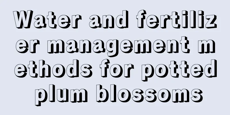 Water and fertilizer management methods for potted plum blossoms