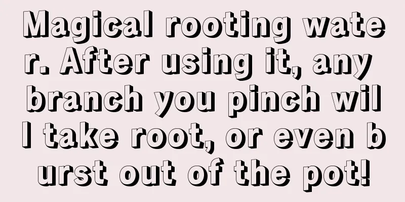 Magical rooting water. After using it, any branch you pinch will take root, or even burst out of the pot!