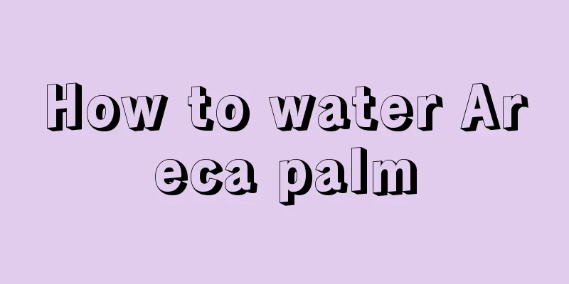 How to water Areca palm