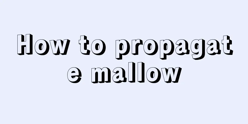 How to propagate mallow