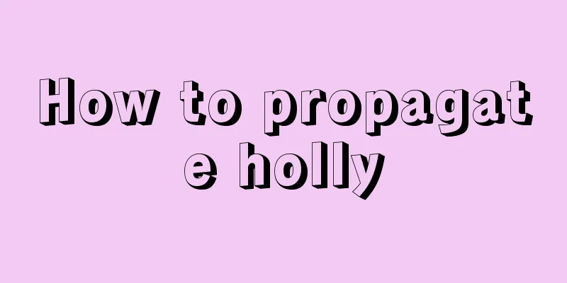 How to propagate holly