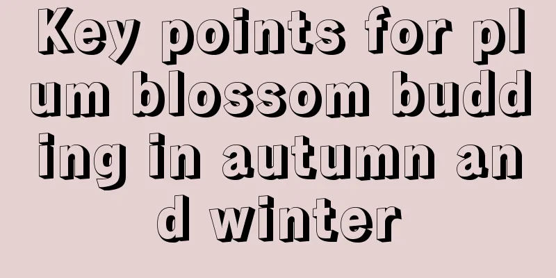 Key points for plum blossom budding in autumn and winter