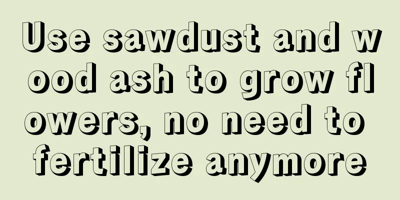 Use sawdust and wood ash to grow flowers, no need to fertilize anymore