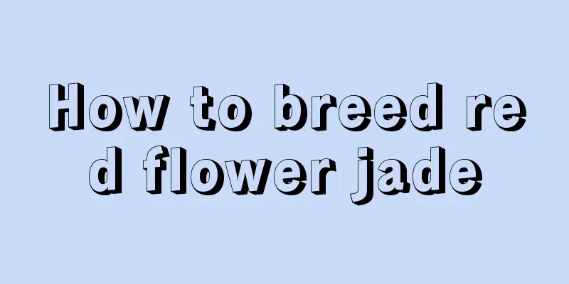 How to breed red flower jade