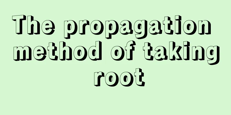 The propagation method of taking root