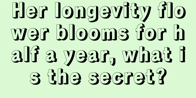 Her longevity flower blooms for half a year, what is the secret?