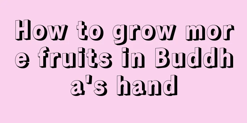 How to grow more fruits in Buddha's hand