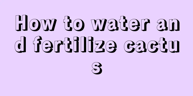 How to water and fertilize cactus