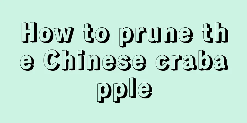 How to prune the Chinese crabapple