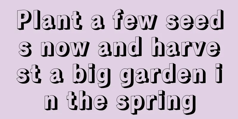 Plant a few seeds now and harvest a big garden in the spring