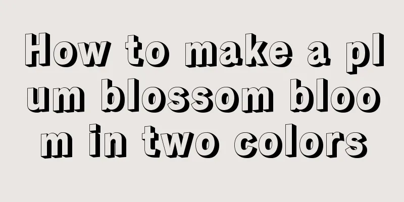 How to make a plum blossom bloom in two colors