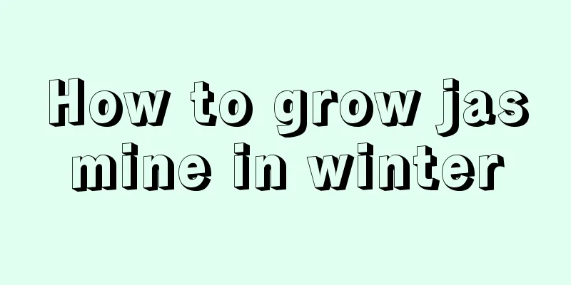 How to grow jasmine in winter