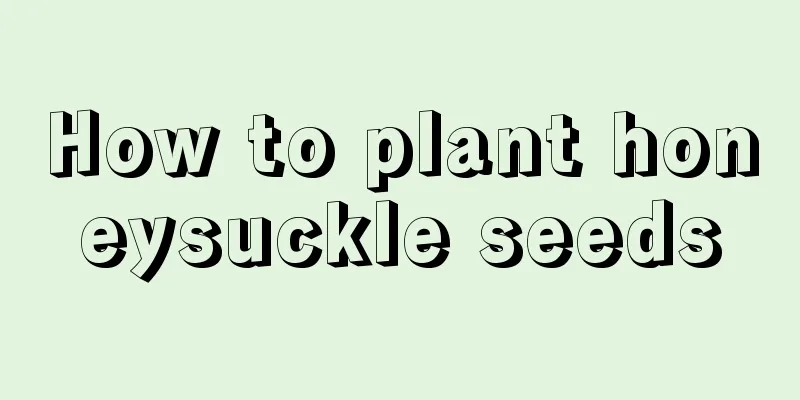 How to plant honeysuckle seeds