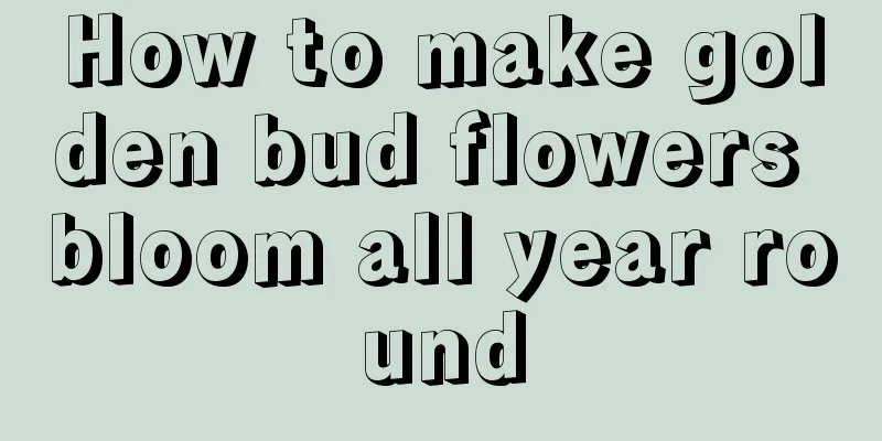 How to make golden bud flowers bloom all year round