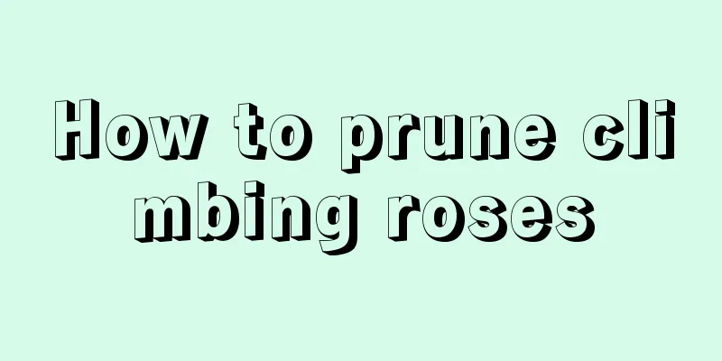 How to prune climbing roses