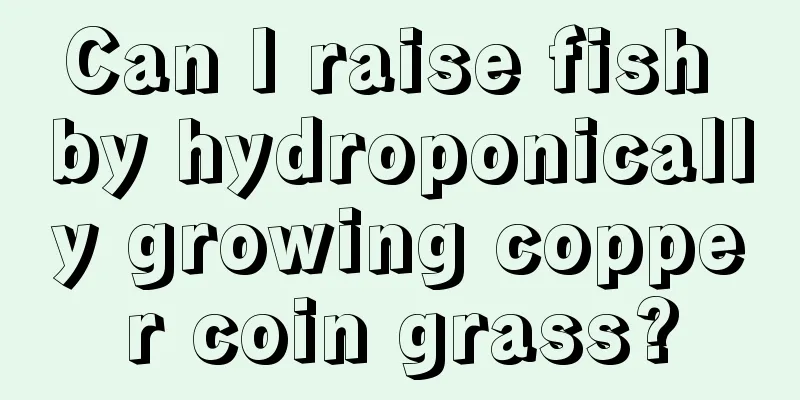 Can I raise fish by hydroponically growing copper coin grass?