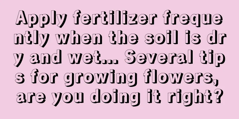 Apply fertilizer frequently when the soil is dry and wet... Several tips for growing flowers, are you doing it right?