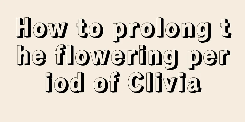 How to prolong the flowering period of Clivia