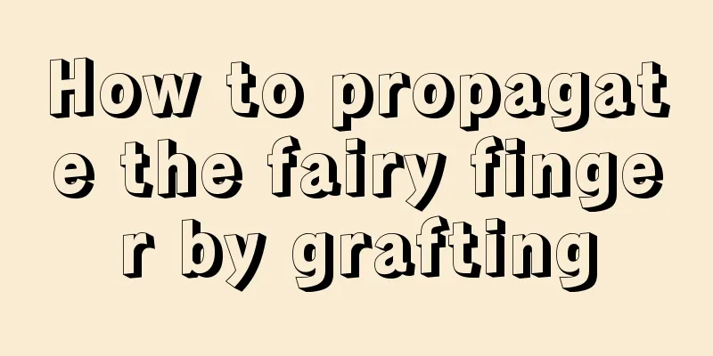 How to propagate the fairy finger by grafting