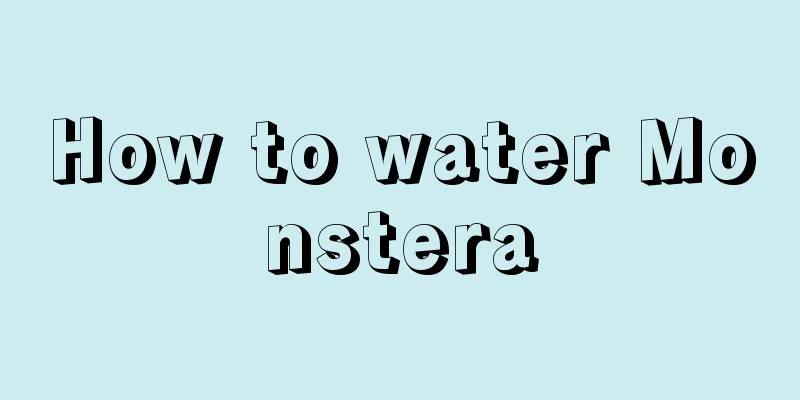 How to water Monstera