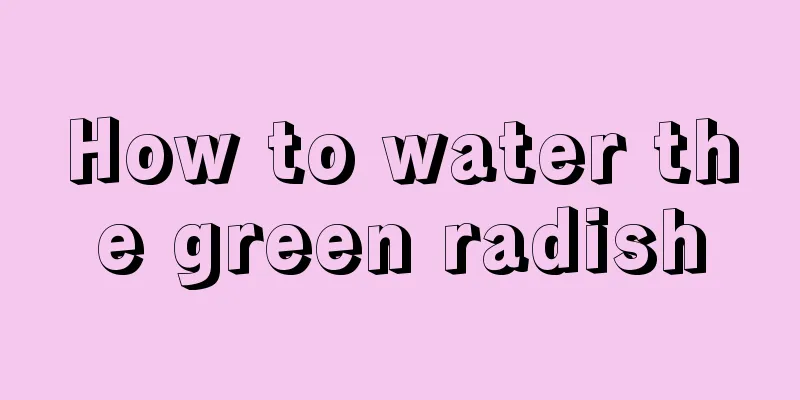 How to water the green radish