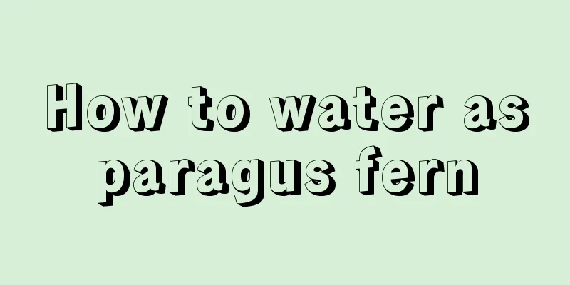 How to water asparagus fern