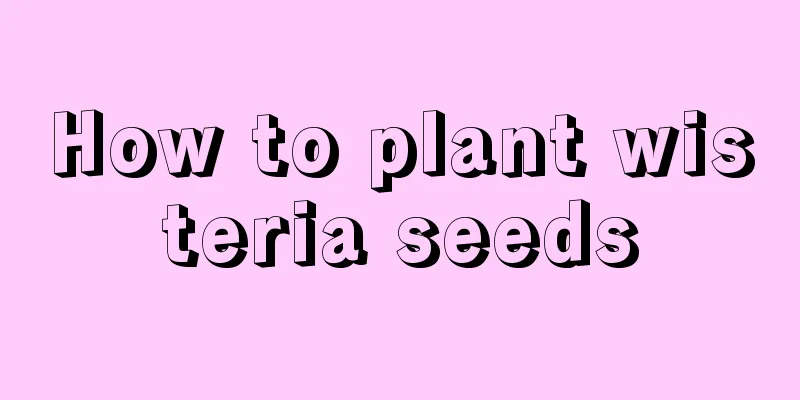 How to plant wisteria seeds