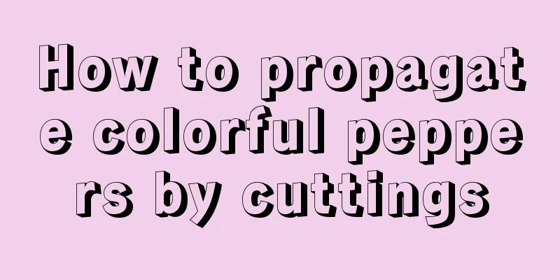 How to propagate colorful peppers by cuttings