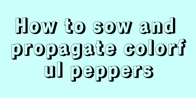 How to sow and propagate colorful peppers