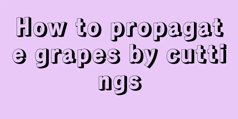 How to propagate grapes by cuttings