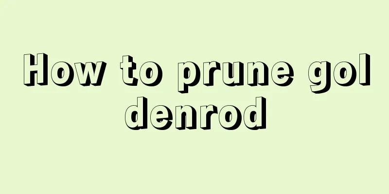 How to prune goldenrod