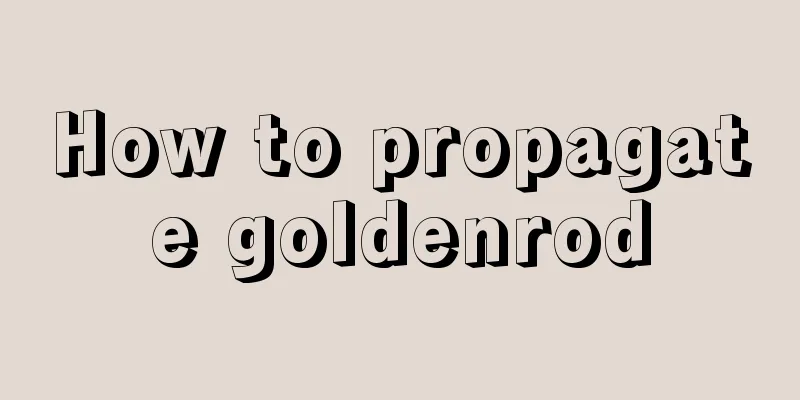 How to propagate goldenrod