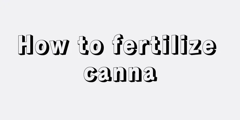 How to fertilize canna