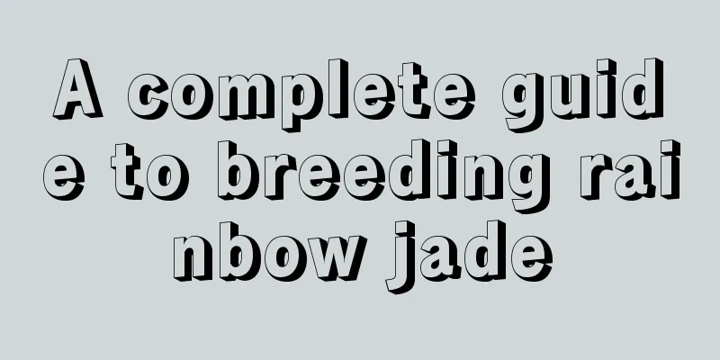 A complete guide to breeding rainbow jade