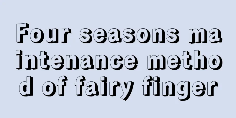 Four seasons maintenance method of fairy finger