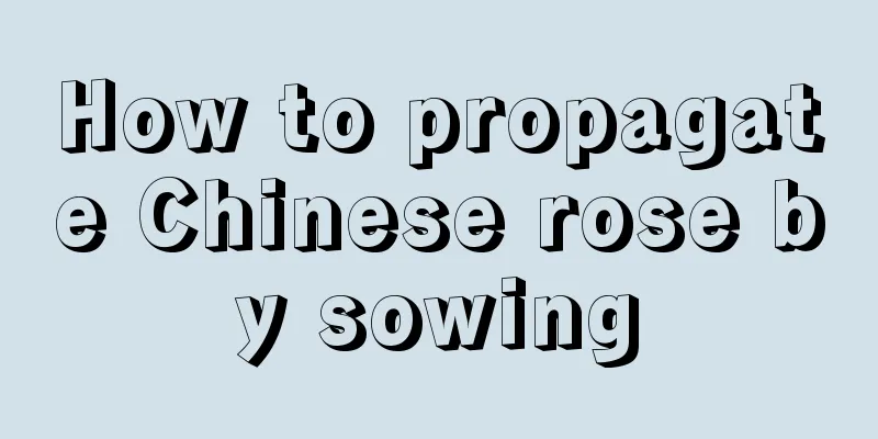 How to propagate Chinese rose by sowing