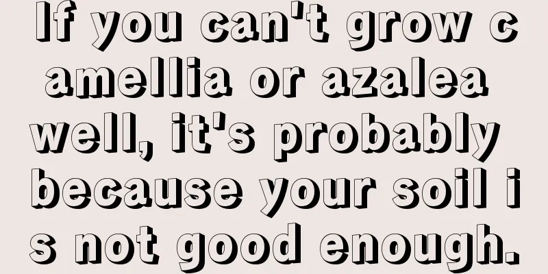 If you can't grow camellia or azalea well, it's probably because your soil is not good enough.