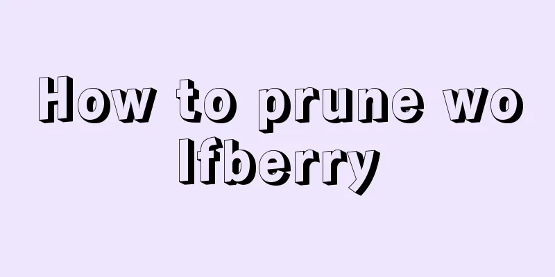 How to prune wolfberry