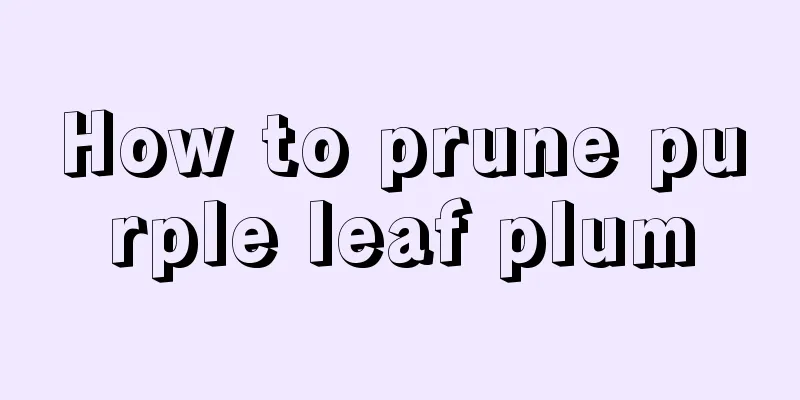 How to prune purple leaf plum