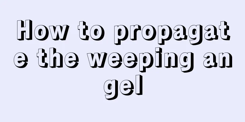 How to propagate the weeping angel