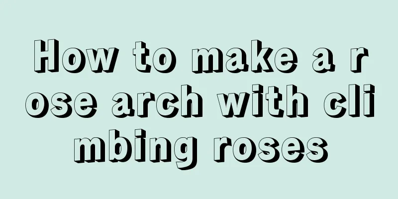 How to make a rose arch with climbing roses