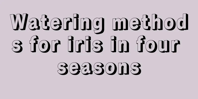 Watering methods for iris in four seasons