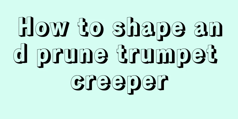 How to shape and prune trumpet creeper