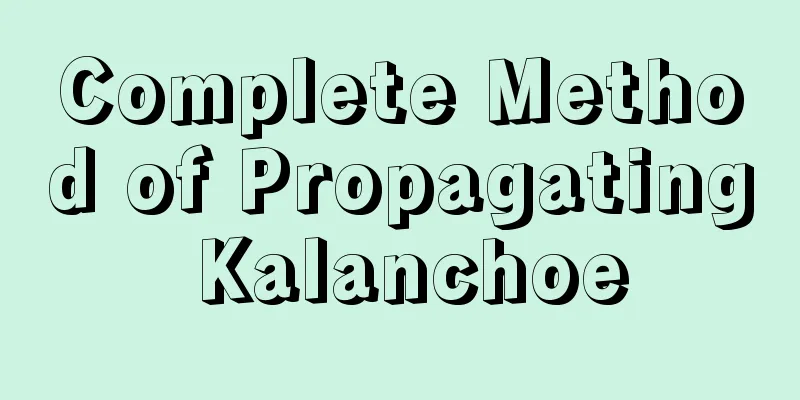 Complete Method of Propagating Kalanchoe