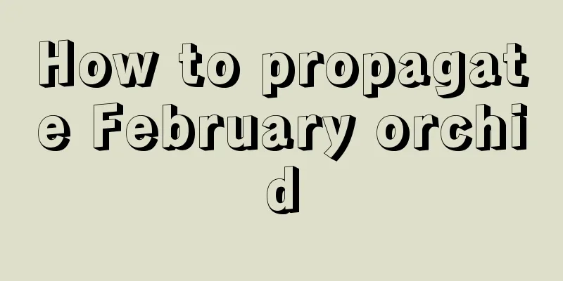 How to propagate February orchid