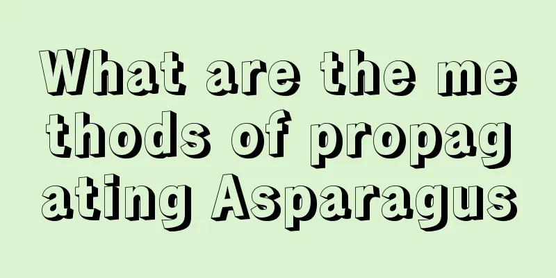 What are the methods of propagating Asparagus