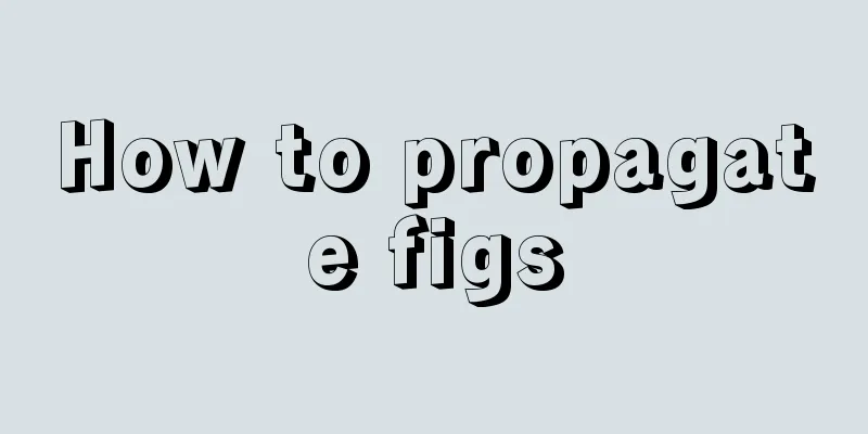 How to propagate figs